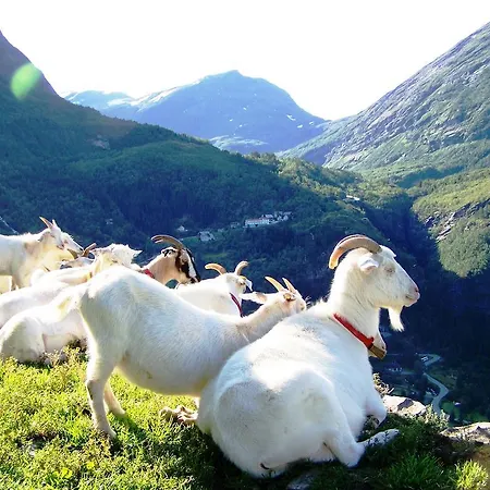 Séjour à la ferme Westeras Gard