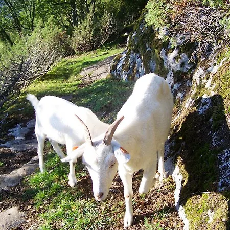 Séjour à la ferme Westeras Gard