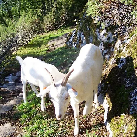 Gospodarstwo agroturystyczne Westeras Gard