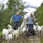 Vakantieboerderij Westeras Gard Geiranger