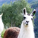 Vakantieboerderij Westeras Gard Geiranger