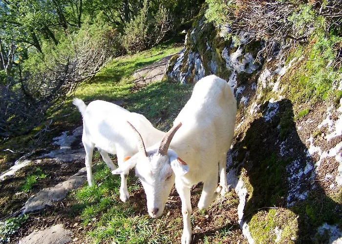 Farm stay Westeras Gard