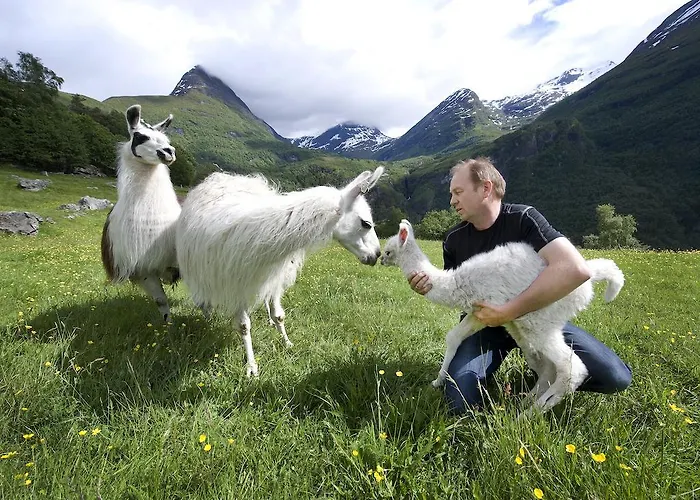 Farm stay Westeras Gard Geiranger